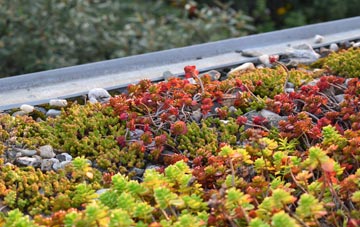 the cost of Lower Menadue green roof installation