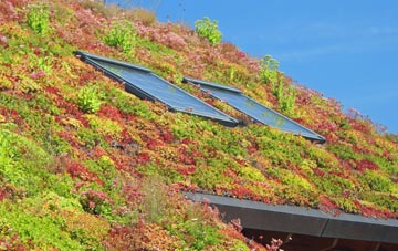 Lower Menadue living roof systems