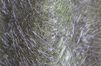 Lower Menadue fibreglass roof work